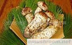 供应各种山珍野菌