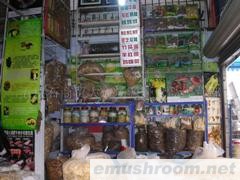 供应山珍 Manbetx体育手机版推荐A9版本