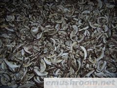 供应出口香菇片