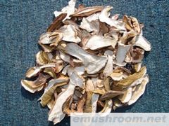 供应美味牛肝菌A级 AA级 B 级