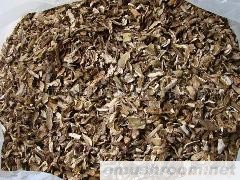 供应ManBetX体育 美味牛肝菌C级 出口 内销 无杂质