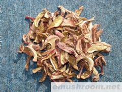供应红葱菌 野生食用 干品 鲜品