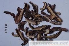 供应黑牛肝菌 黄牛肝 白牛肝