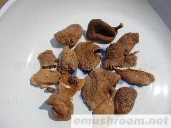 香菇菌干品