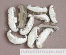 供应茶花菇切片