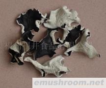 供应白背黑木耳