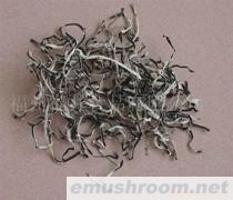 供应白背木耳丝