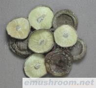 供应菌床足切薄菇