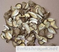 供应香菇（半切片）