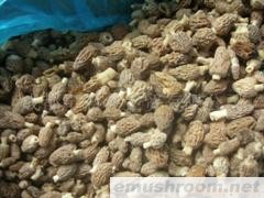 供应速冻ManBetX体育(图)