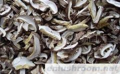 供应出口级香菇条（片）