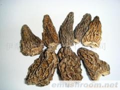 供应Manbetx体育手机版V17版本发布.官网安卓网.香港(图)