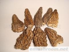 供应ManBetX体育(图)