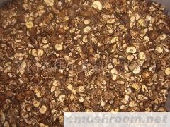 供应香菇，切足茶花，光面(mushroom)