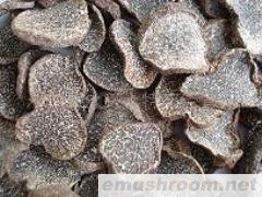 产地批发-特级干块菌