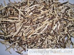 供应优质香菇丝