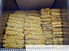 供应香菇菌棒(图)