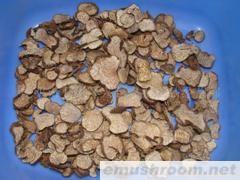 供应块菌 无杂质 无虫片