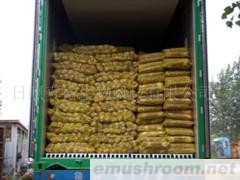 供应香菇菌棒(图)