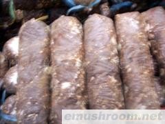 供应香菇菌棒(图)
