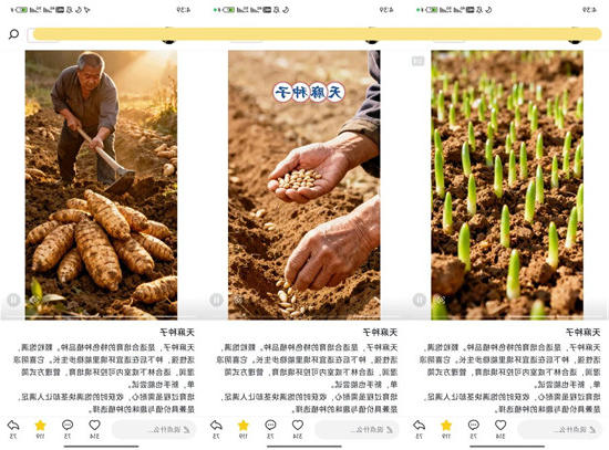 微信图片_2026-05-07_094154_111.jpg