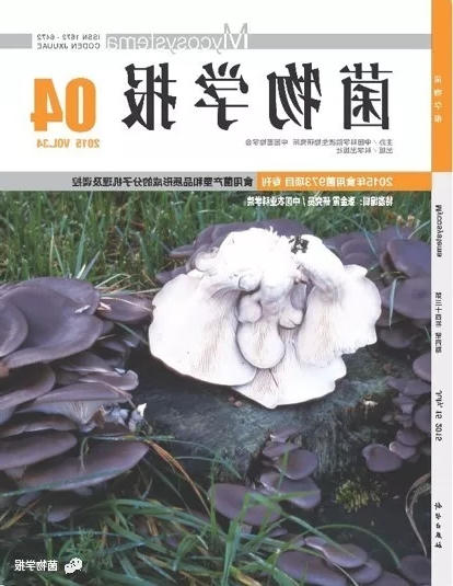 640.webp
