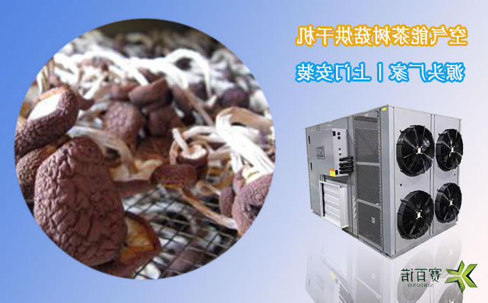 广西茶树菇烘干机