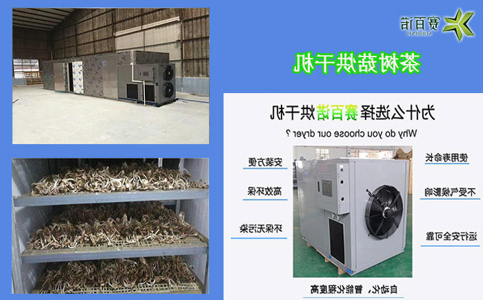 重庆茶树菇烘干机