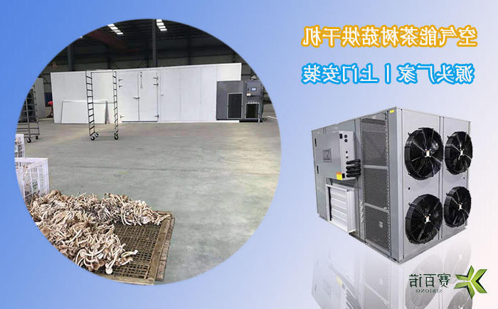 云南茶树菇烘干机
