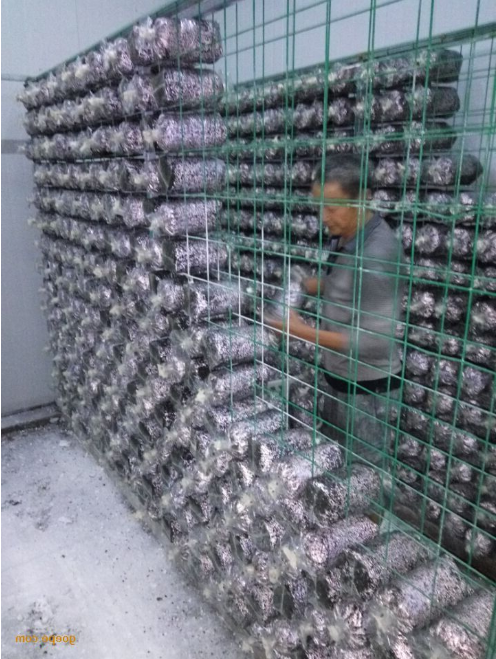 QQ截图20200222211303
