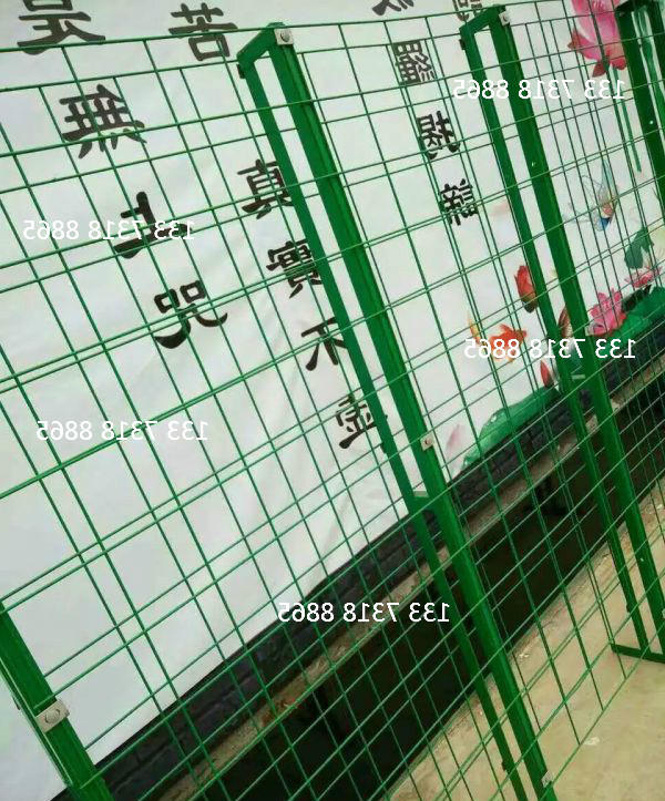 蘑菇
