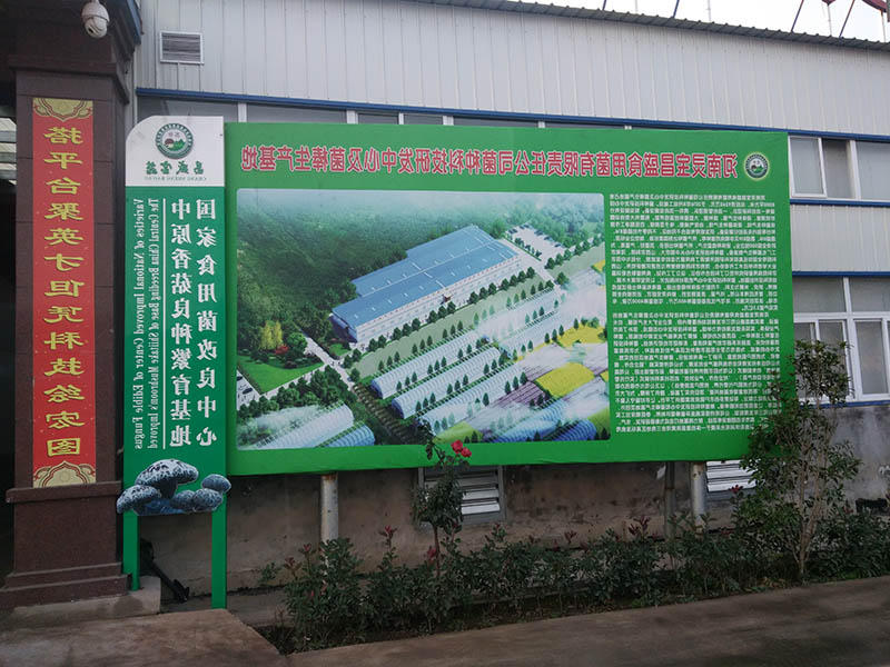 菌棒,种食用菌改良图片小