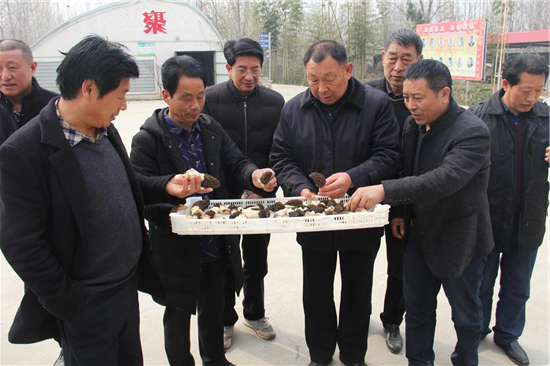 图片15.png