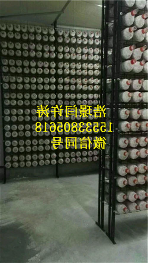 杏鲍菇网格架 杏鲍菇网格架