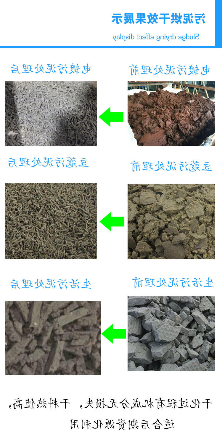 污泥干化效果展示