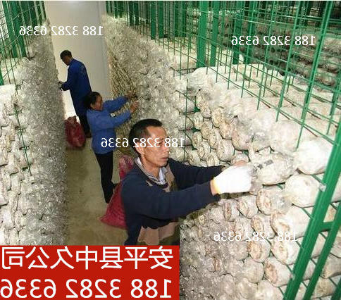 养殖架子