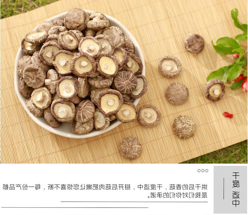 干菇详切片_07