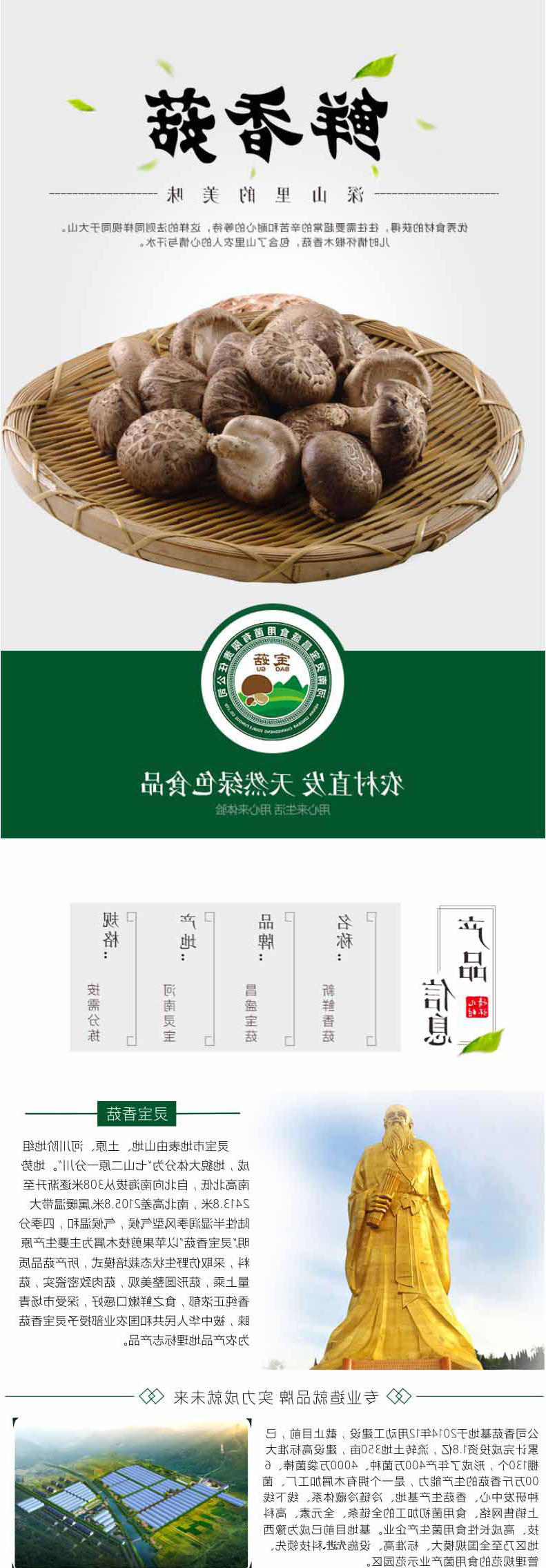 香菇详情_01