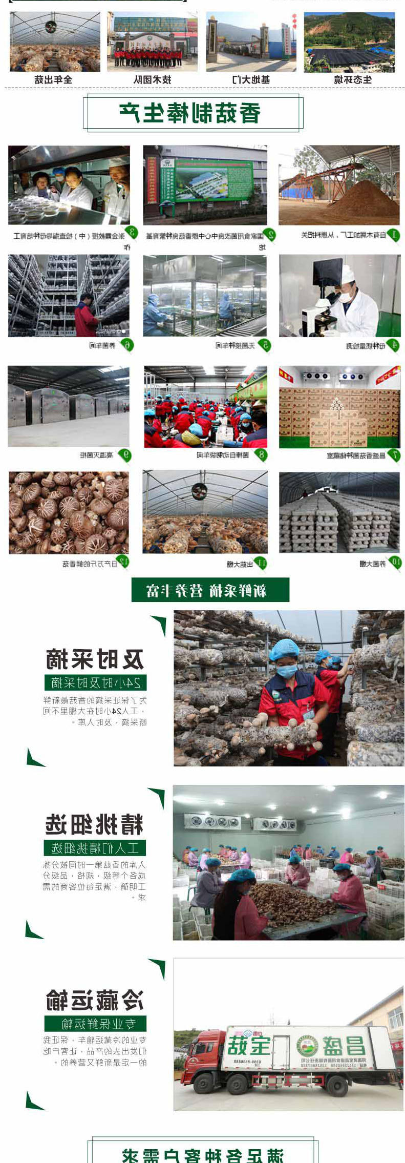 香菇详情_02
