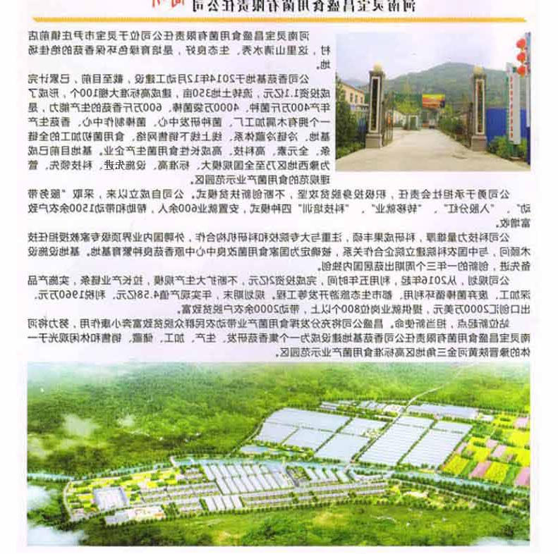 香菇详情_05