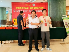 天麻饮料:工作间隙的好搭档,日常生活中的一瓶温润