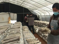 安顺平坝区岩上村：Manbetx体育手机版推荐A9版本持续供应 助力打赢疫情防控战 ()