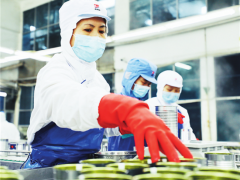 蘑菇挑选员复工记 ()