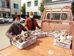 黔西县：500斤Manbetx体育手机版推荐A9版本暖了战“疫”一线干部的心 ()