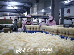 直击复工｜释放60%产能 山东雪榕日供鲜菇260吨 ()