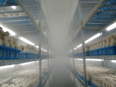 盐城爱菲尔浅谈工厂化：ManBetX体育工厂化设备都有哪些？