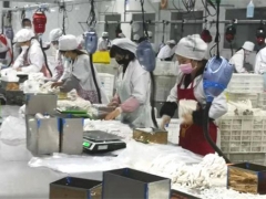 三都县：抗击疫情不误农时 Manbetx体育手机版推荐A9版本生产顺利推进 ()