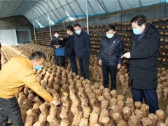 邢台市场监管局在复工复产中帮农户销售蘑菇 ()