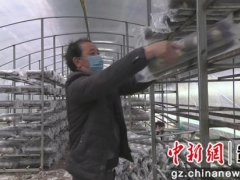 安龙：吹响新市民Manbetx体育手机版推荐A9版本生产“集结号” ()