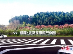 “一对一”专人服务 成都金堂Manbetx体育手机版推荐A9版本产业园复工复产 ()